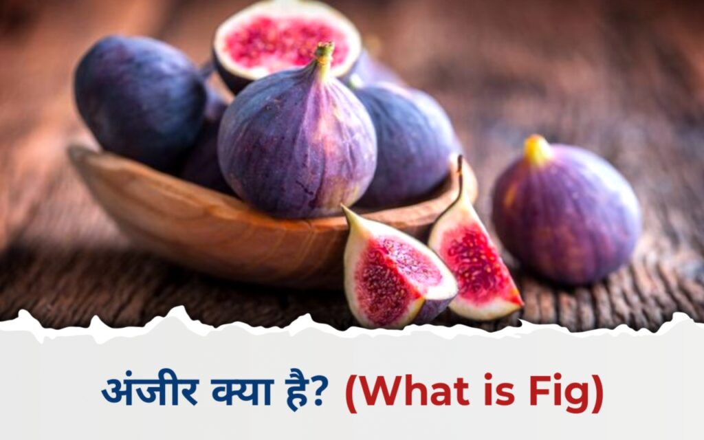 अंजीर खाने के फायदे (Amazing Benefits of Eating Figs) – सेहत के लिए अद्भुत वरदान 2025