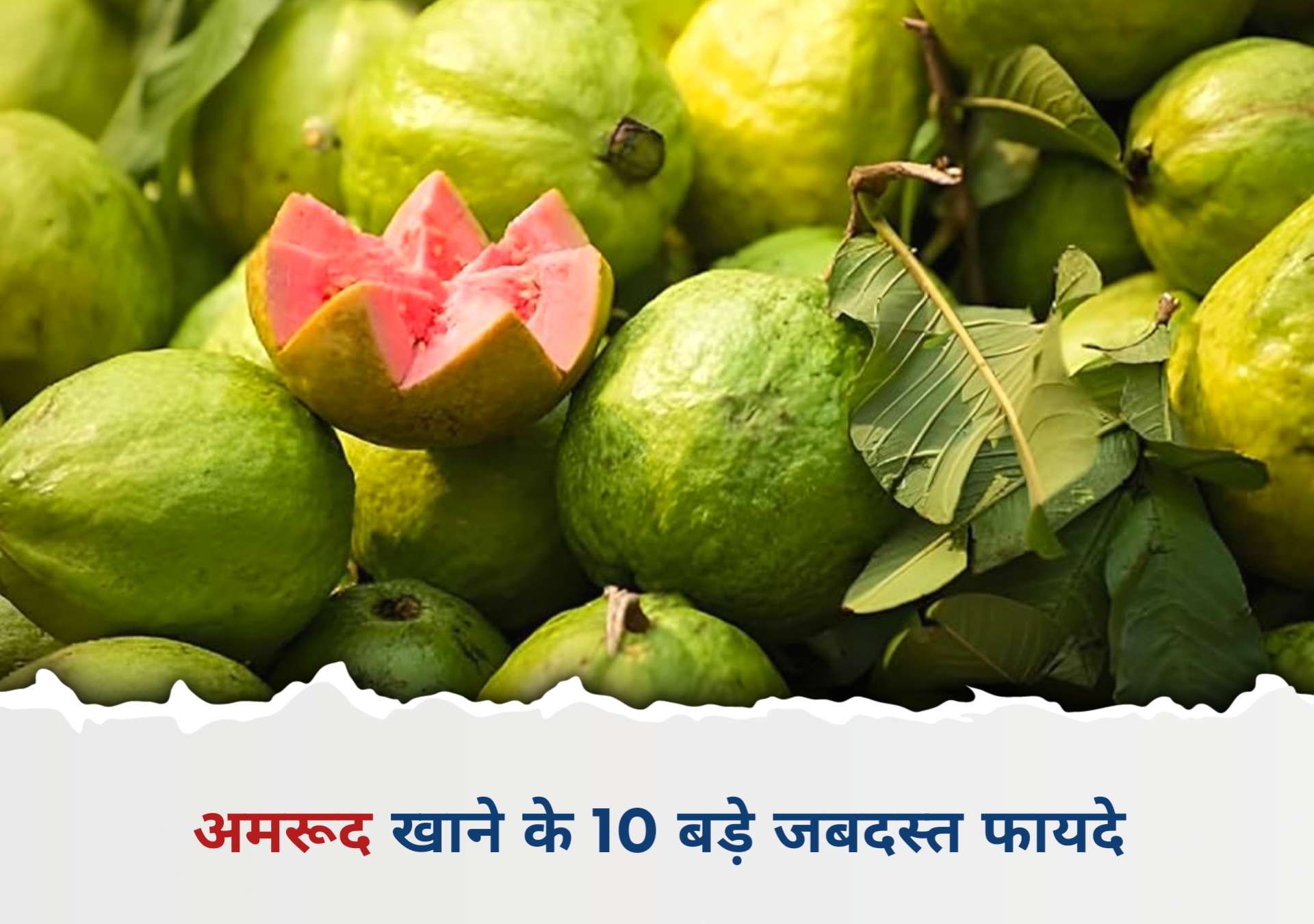 अमरूद खाने के 10 बड़े जबदस्त फायदे | Amrood Khane ke 10 Bade Jabaradast Fayde