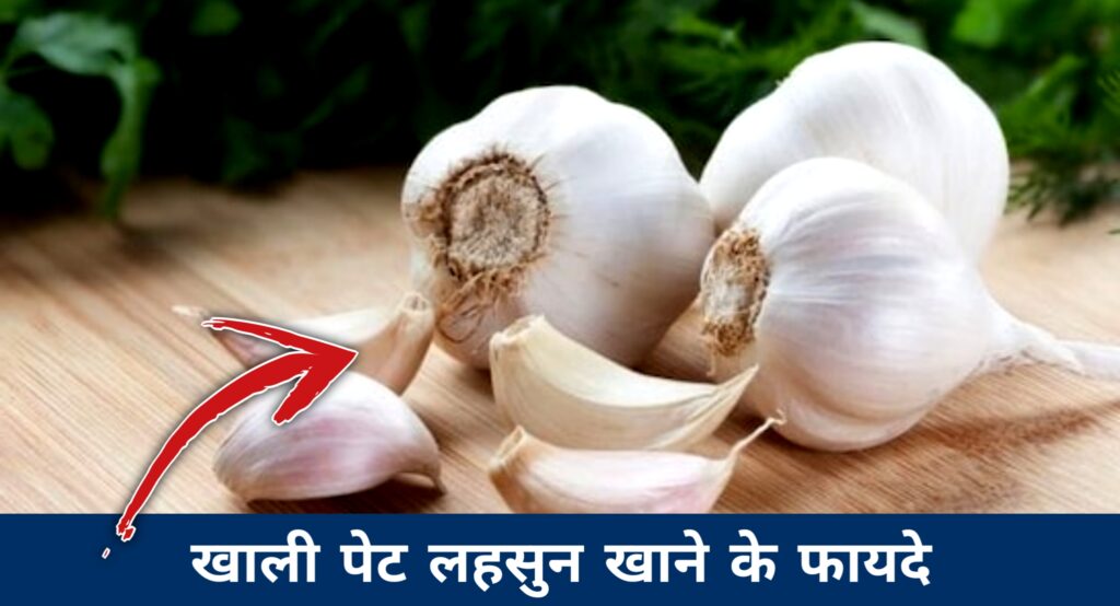 रोज़ सुबह खाली पेट लहसुन खाने के फायदे | Garlic Benefits in Hindi 1.0