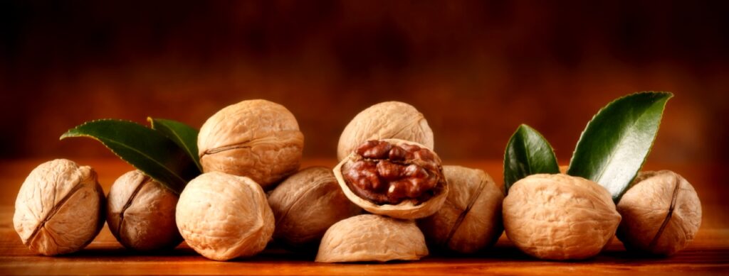 अखरोट खाने के फायदे (Walnut Benefits in Hindi)